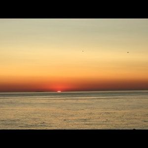 Meet your Posher, Raul